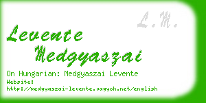 levente medgyaszai business card